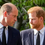 Prince William and Prince Harry.