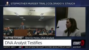 Sherrie Holes testifies on the witness stand