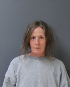 Kim Potter booking photo