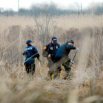 crime scene investigators use metal detectors to search a marsh for the remains of Shannan Gilbert