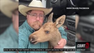 Canadian man and the baby moose he saved.