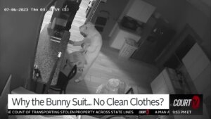 Thief in a bunny suit who robbed a laundromat.