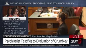 Lisa Anacker testifies