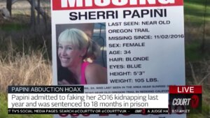 sherri papini missing person poster