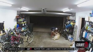 Bicycle thief rubs dog's belly.