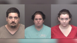 David Schonabaum, Angel Schonabaum and Delaina Thurman mugshots