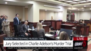 Charlie Adelson stands in court