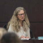 Karen Wilson testifies