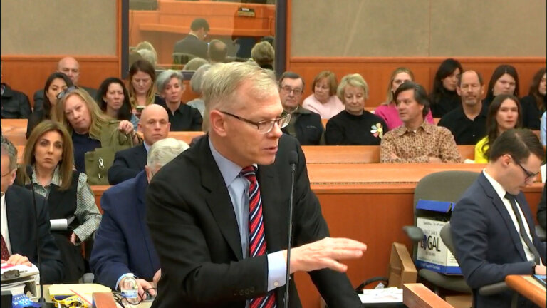 attorney addresses judge in courtroom