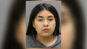 Desiree Figueroa mugshot