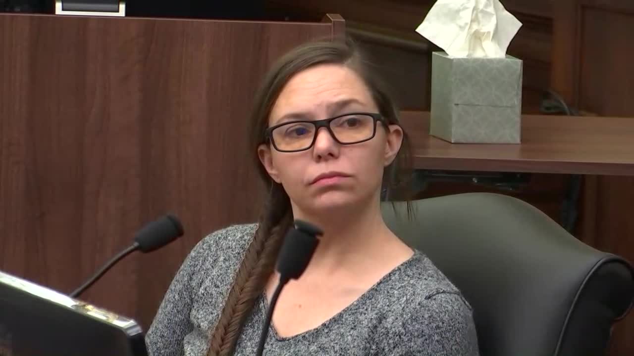 erica stefanko appears in court