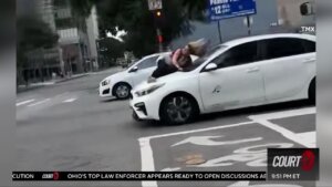 woman jumps on dognappers car