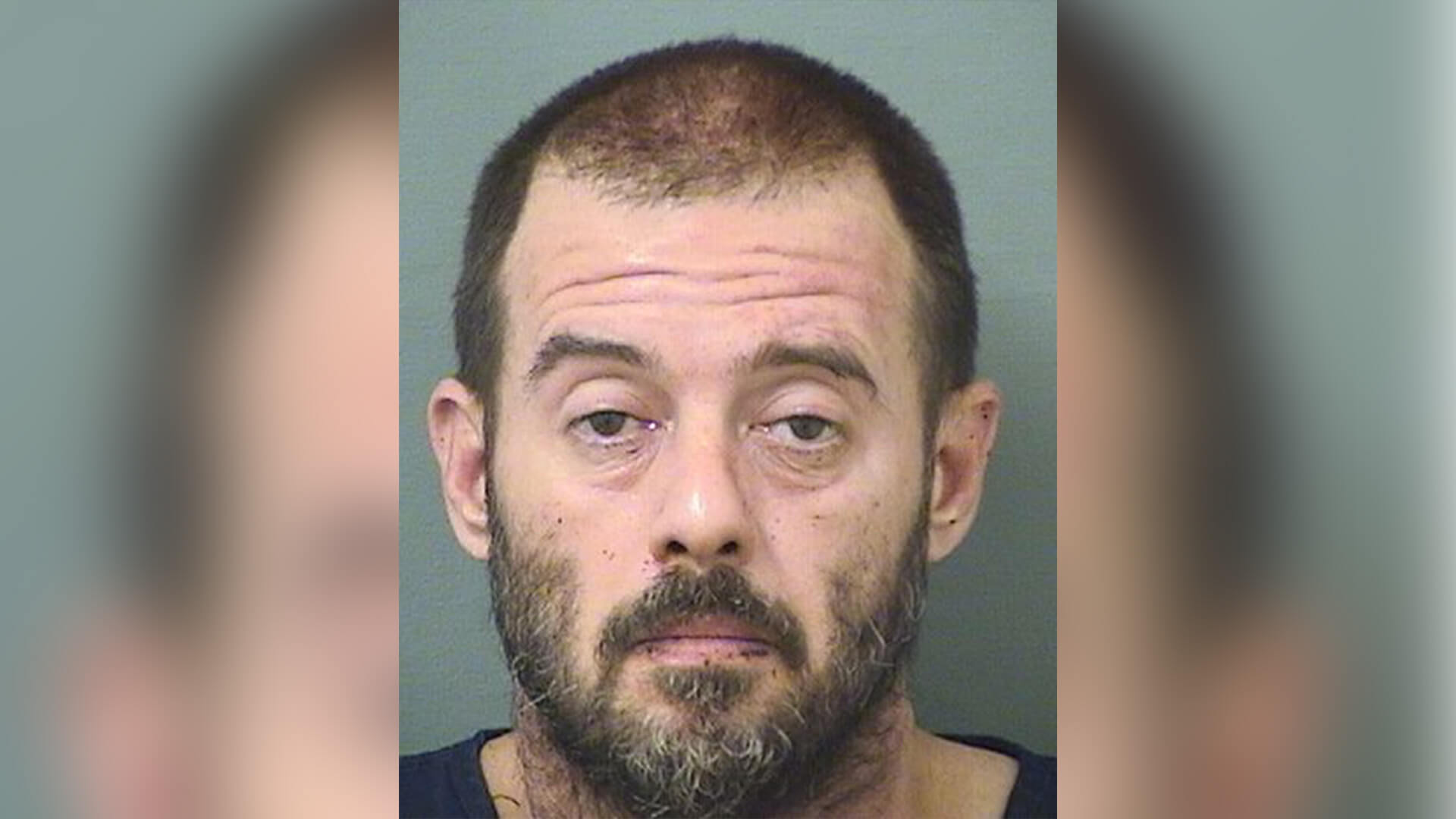 brian mcgann mugshot