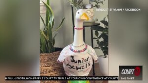 Stolen Taylor Swift-themed porch goose.