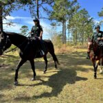 police on horseback