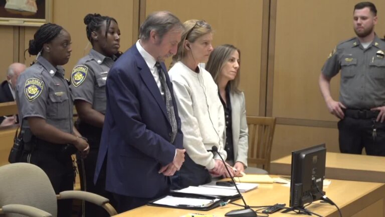 After being convicted in March of conspiracy to commit murder, tampering with or fabricating physical evidence and hindering prosecution in the murder of Jennifer Dulos, Michelle Troconis was sentenced Friday.