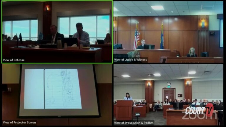 zoom quad box showing court