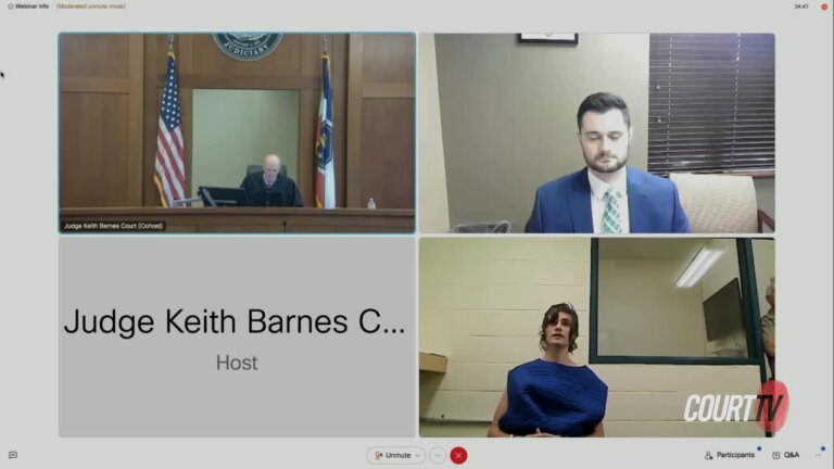 WebEx court hearing shows attorney, judge and defendant