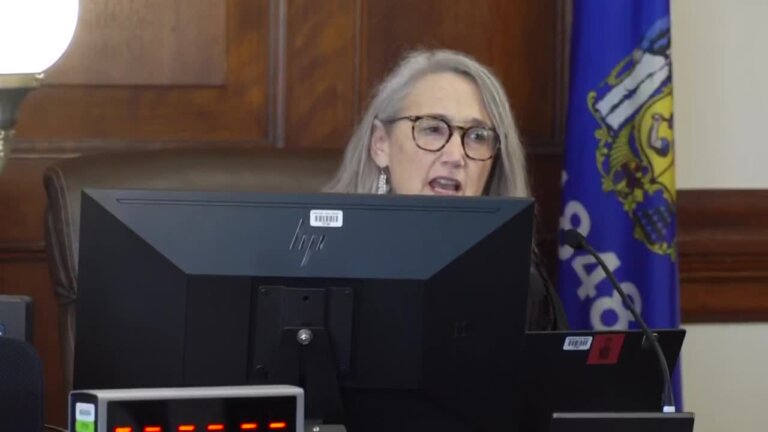 Female judge sits at the bench behind a computer screen.