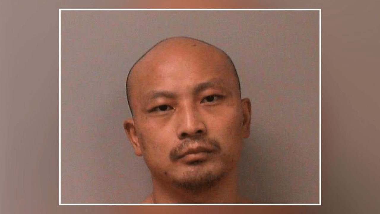 Booking photo of Nya Thao