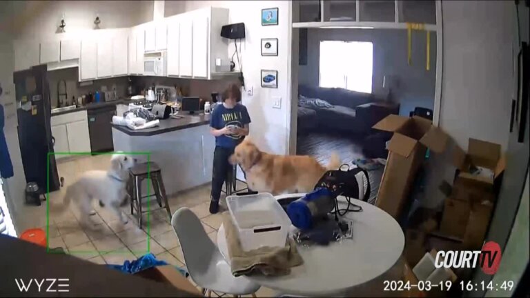 Home security camera footage of a home's kitchen. Teen girl is seen feeding dogs.