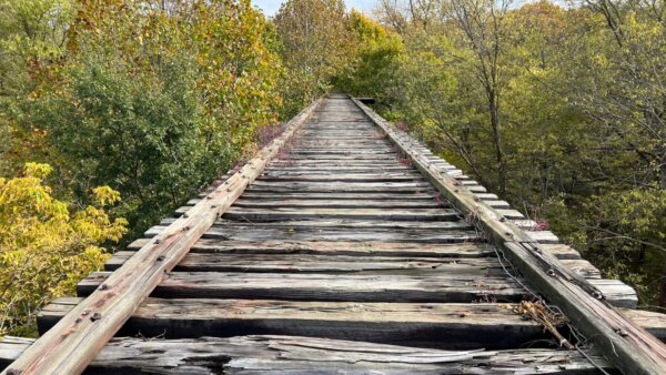 old elevated bridge on forest trail