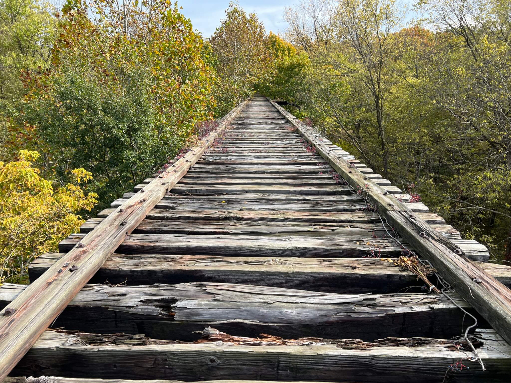 old elevated bridge on forest trail