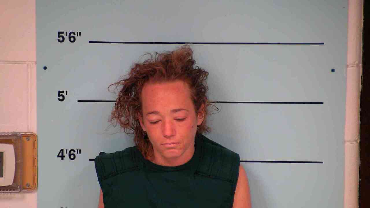 Torilena Fields booking photo