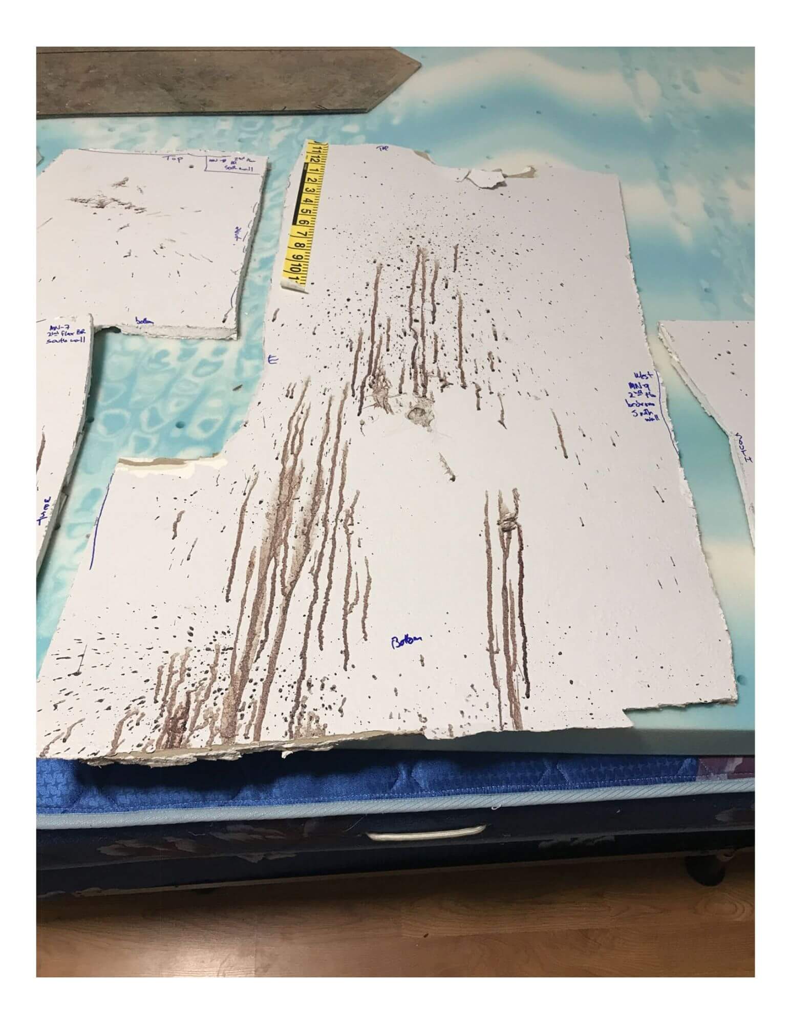 wall cutting with blood