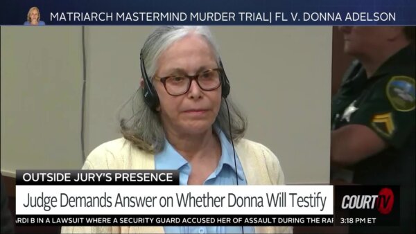 Donna Adelson stands in court