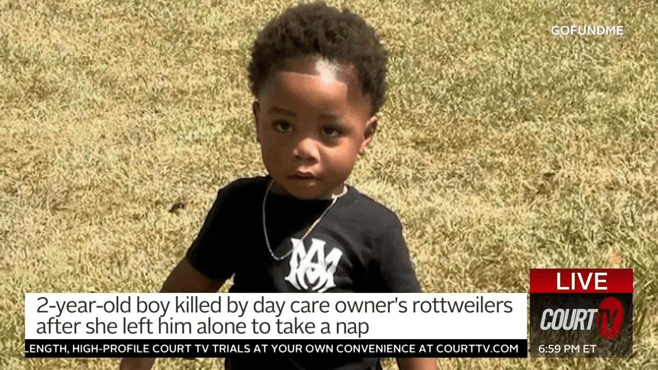 Unlicensed Daycare Owner Charged With Murder After Boy Mauled By Her ...