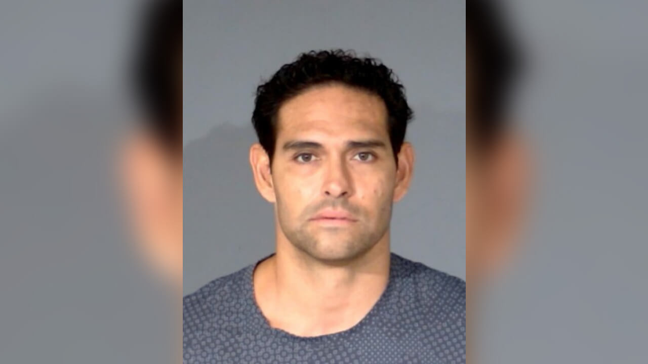 Mark Sanchez booking photo
