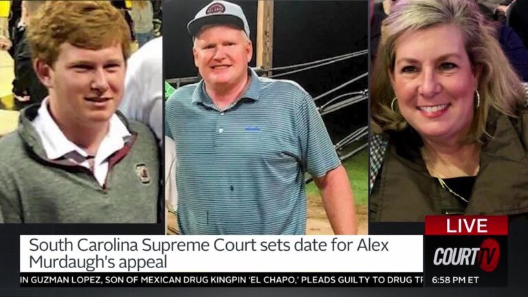 alex murdaugh appeal
