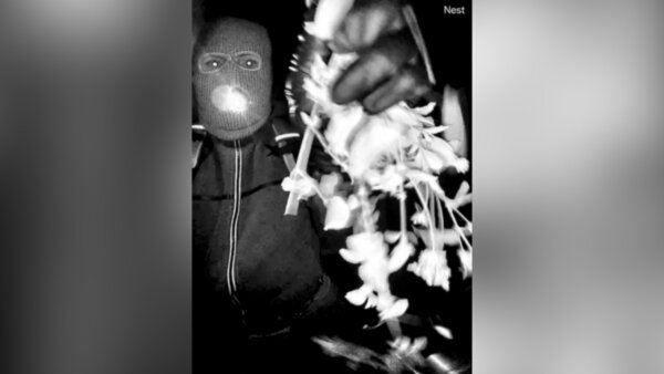 masked suspect on video