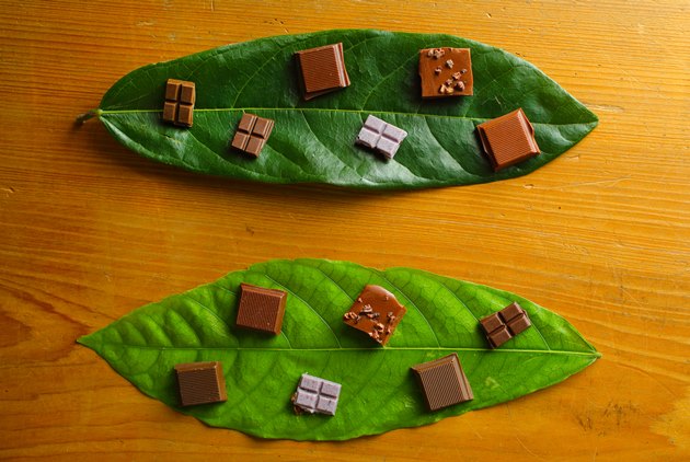 Taiwanese Chocolate Seduces the World