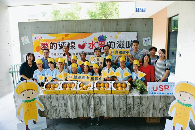 當中原大學遇見雙連梨