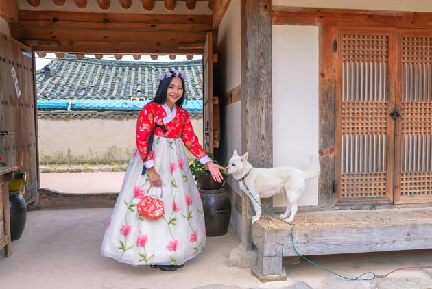 吃狗肉的韓國人 為什麼愈來愈少?