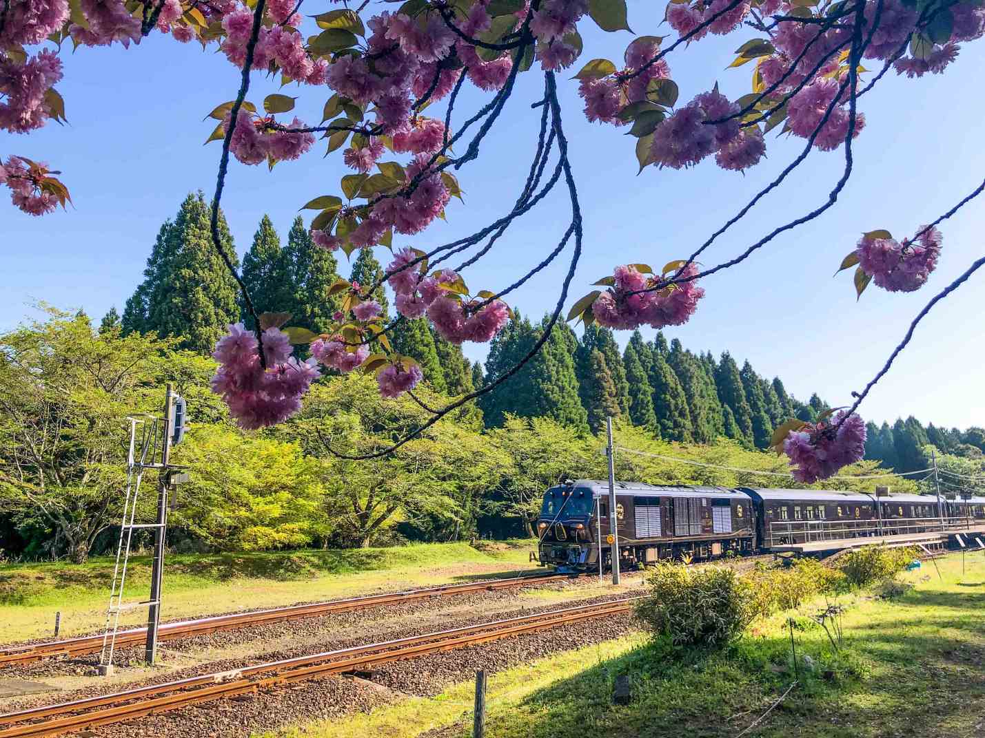 有錢也不一定搭得到 30萬起跳的九州頂級七星列車紅什麼 天下雜誌
