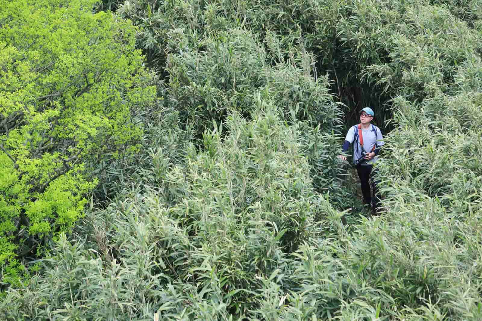 爬100座山 或爬一座山100次 設計師hally Chen的陽明山探險 天下雜誌