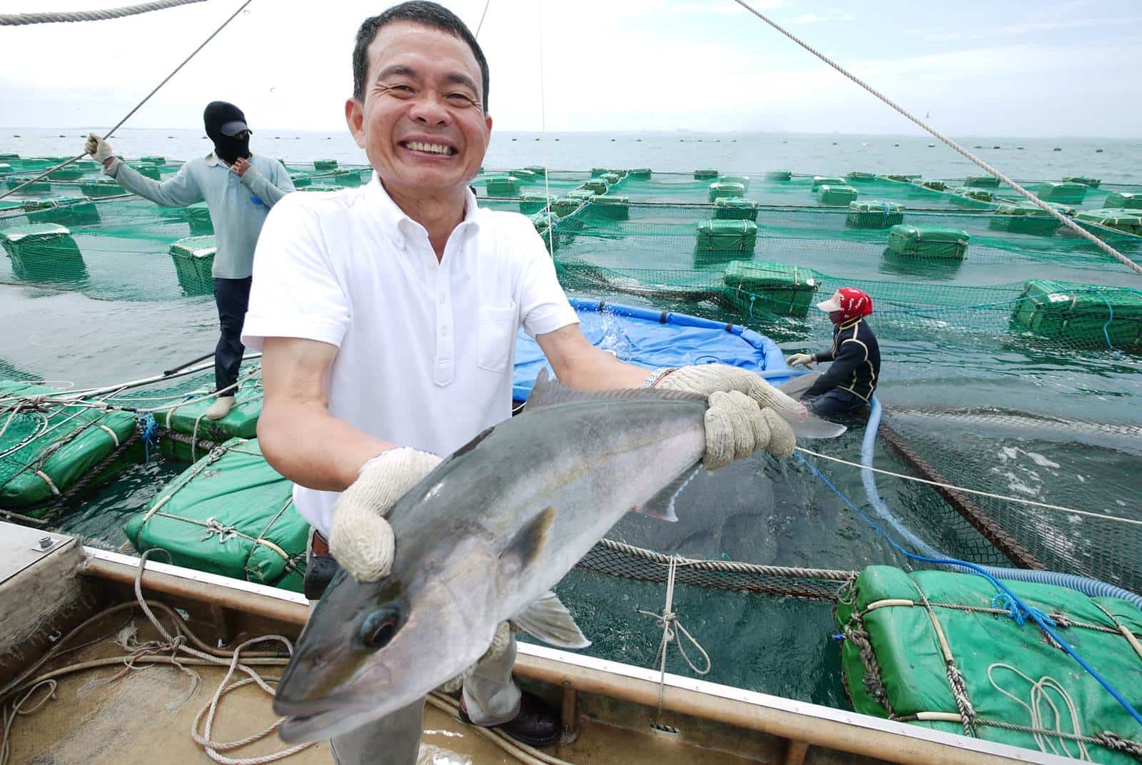 劉天和讓海鱺變世界名魚 天下雜誌