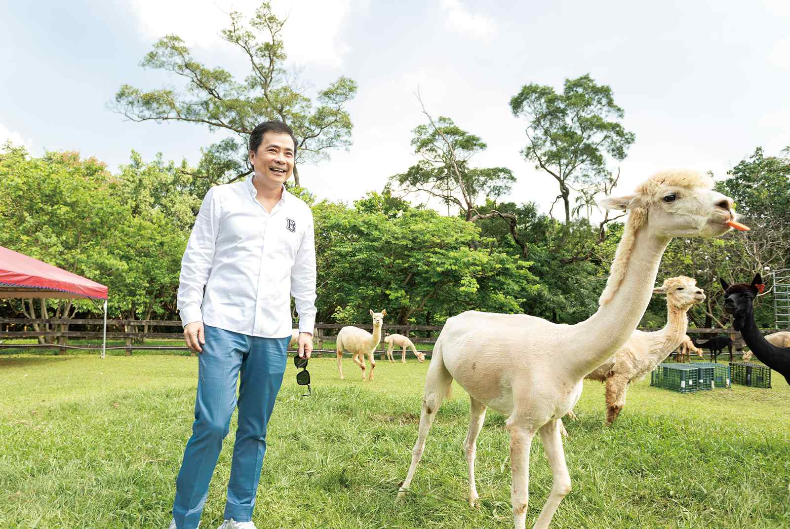 台版環球影城要來了 用ip打造六座影城和動物園 華流教父的最後豪賭 天下雜誌