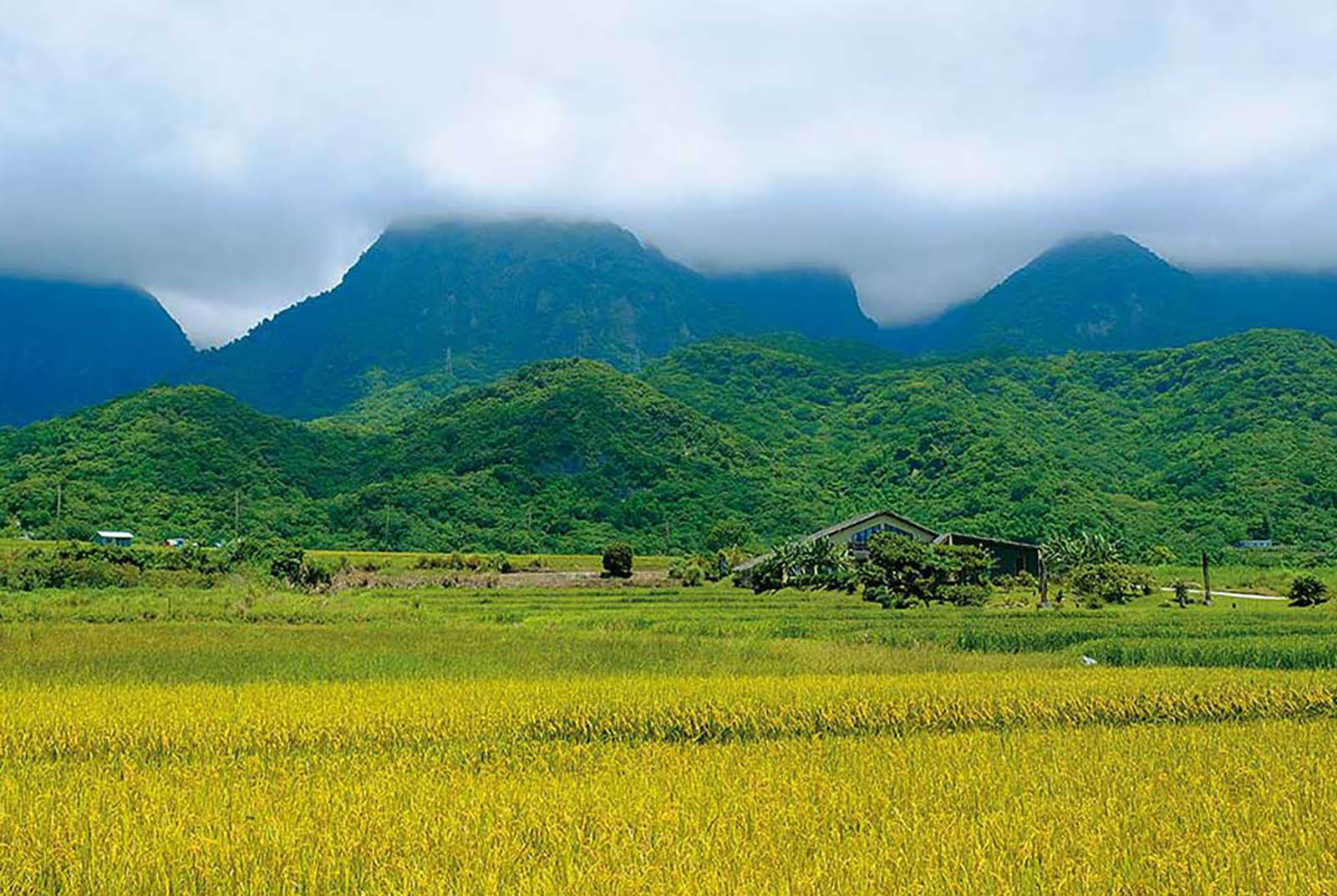 金剛山下的回鄉夢台東長濱 巴奈的家 背山面海的愜意日常 天下雜誌