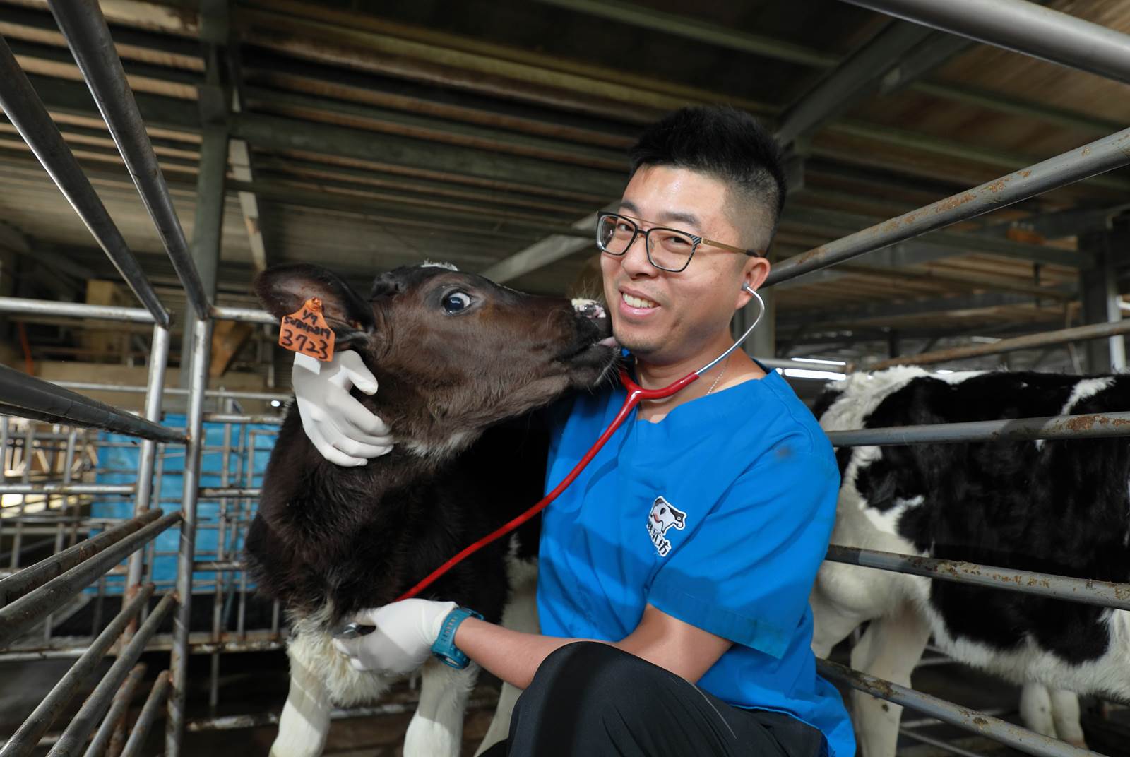 鮮乳坊營收破5億 叛逆獸醫師救牛奶 幫小農找回價值 天下雜誌