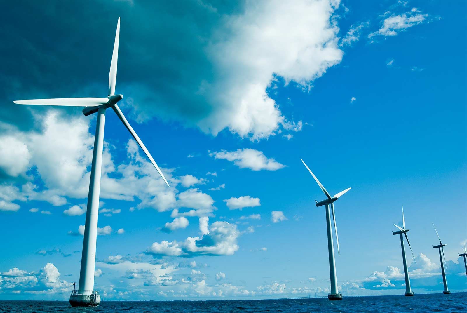 氣候行動-減碳-淨零-碳關稅-碳費