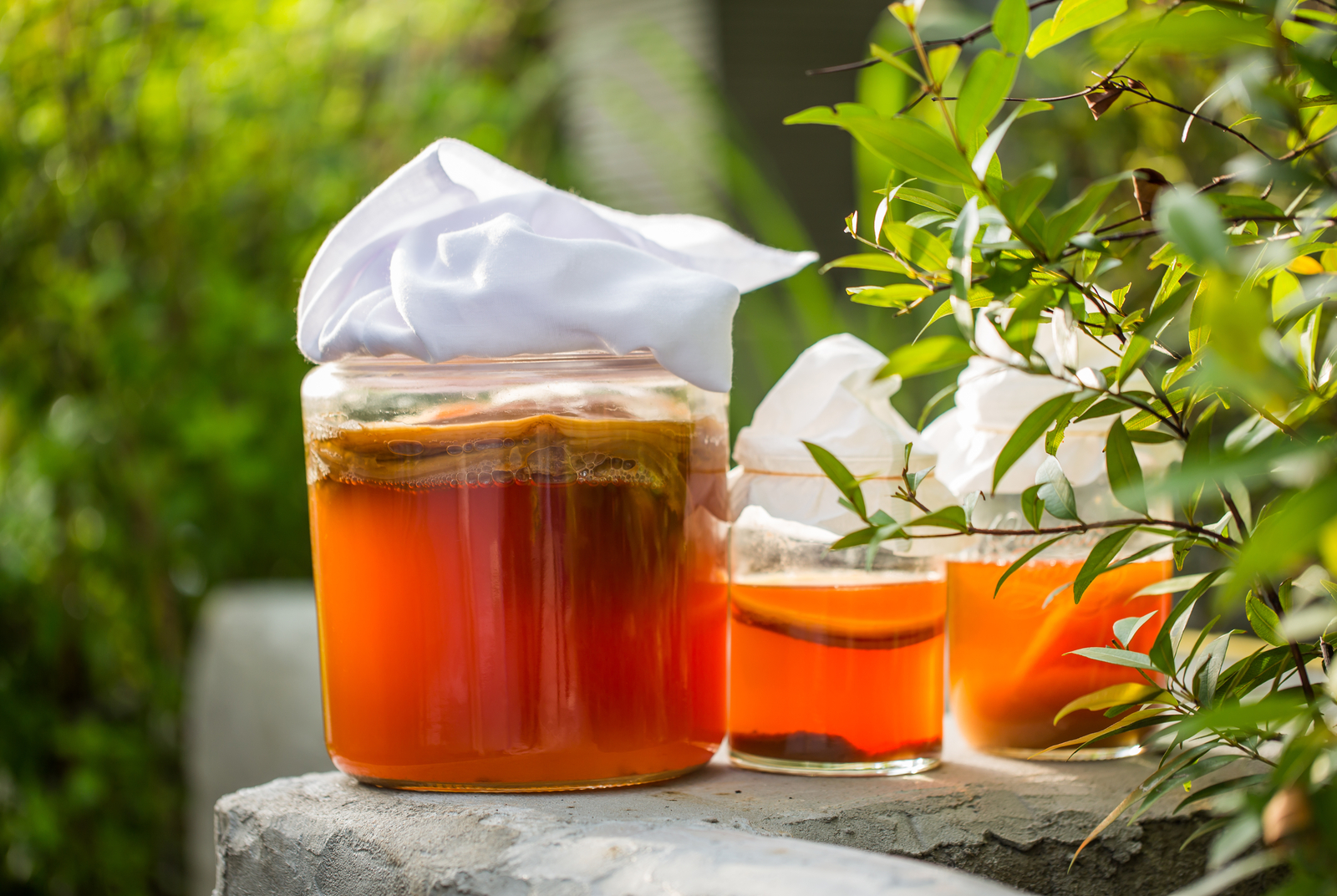 7大族群不宜,你喝的是康普茶還是康普茶式調味飲料?|天下雜誌