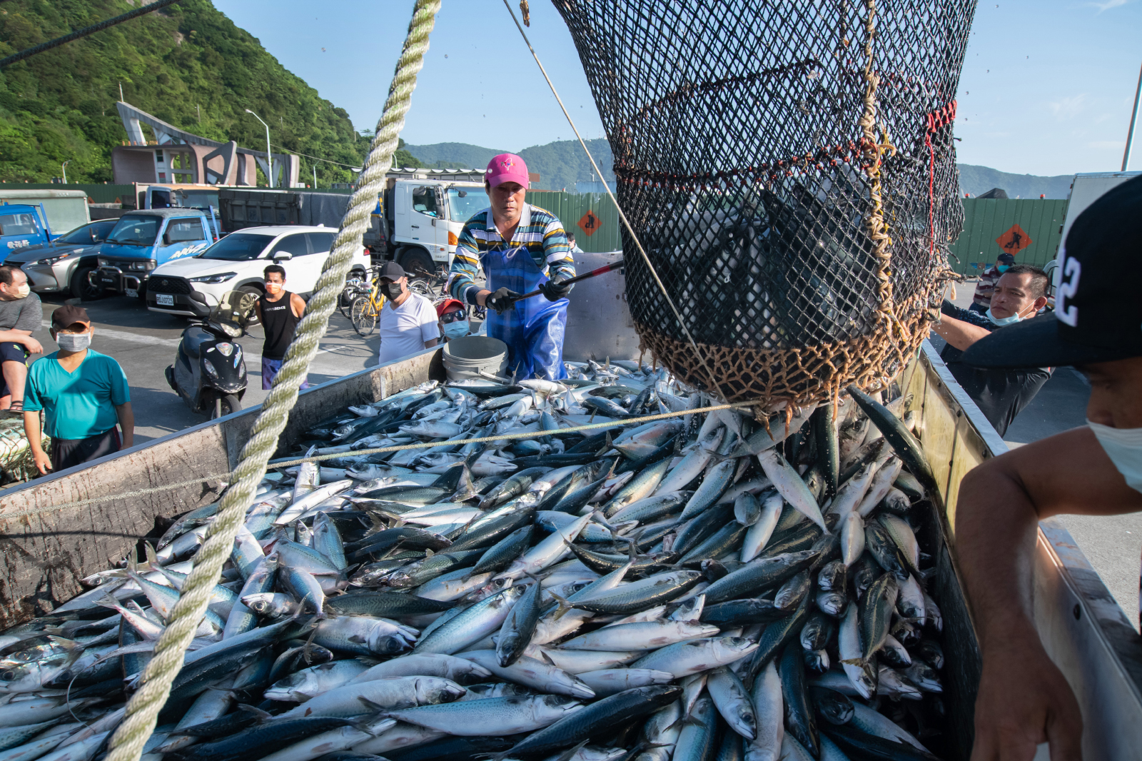 洋流唱反調、中國搶魚、濫捕魚寶寶 鯖魚的故鄉南方澳將變墳場?|天下雜誌