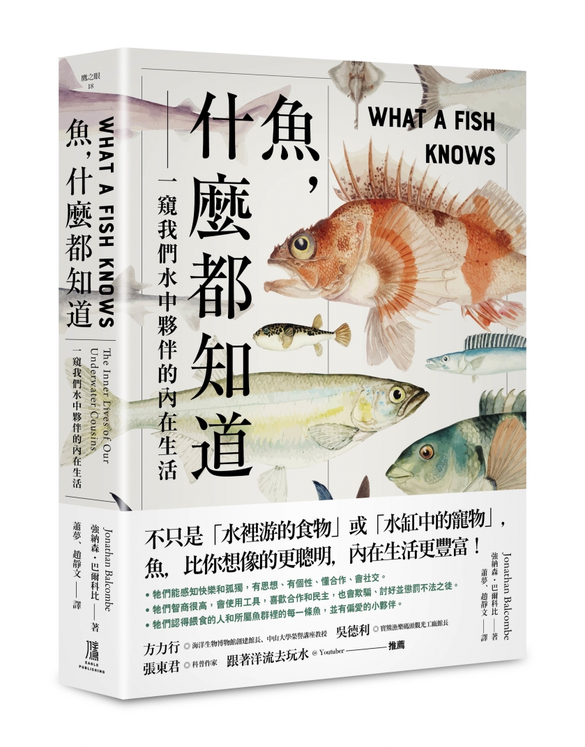 魚,什麼都知道