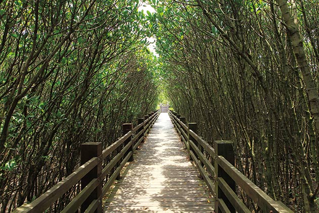 Embracing the Green Shores of Hsinchu County