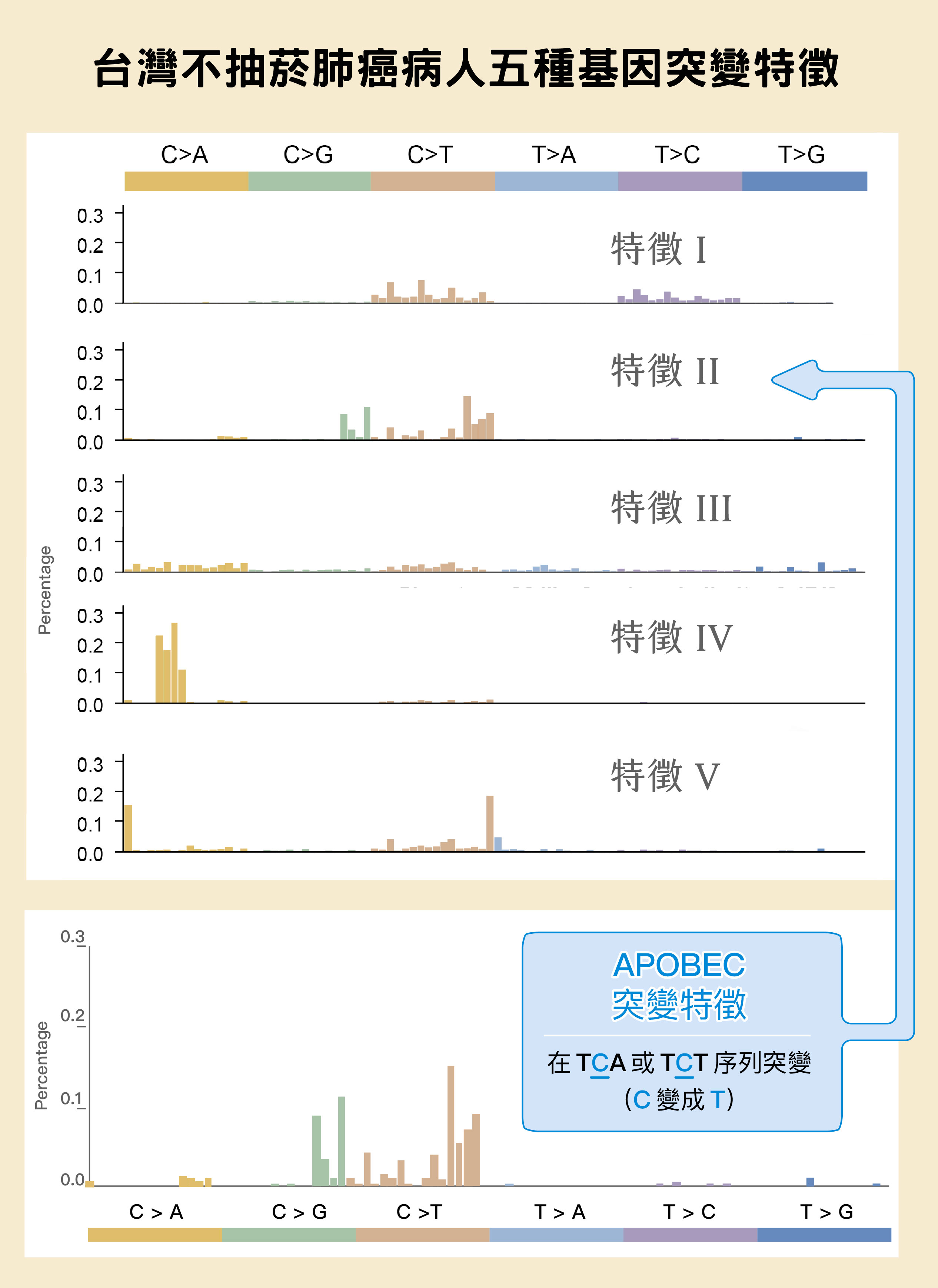 中研院統計所陳璿宇副研究員統計 103 位病人的檢體,鑑定出東亞肺癌具有上圖五種突變特徵。以第二列為例,主要為 C>G 和 C>T 的突變,乃是 APOBEC 造成的突變特徵。APOBEC 為 RNA 編輯酶家族,有 11 個成員,能把胞嘧啶核苷酸(C)的氨基去掉,使它變成尿嘧啶核苷酸(U)。APOBEC 過度表達,再加上 DNA 修復機制的作用,就會形成 C>G 和 C>T 的突變特徵。圖片來源:陳玉如