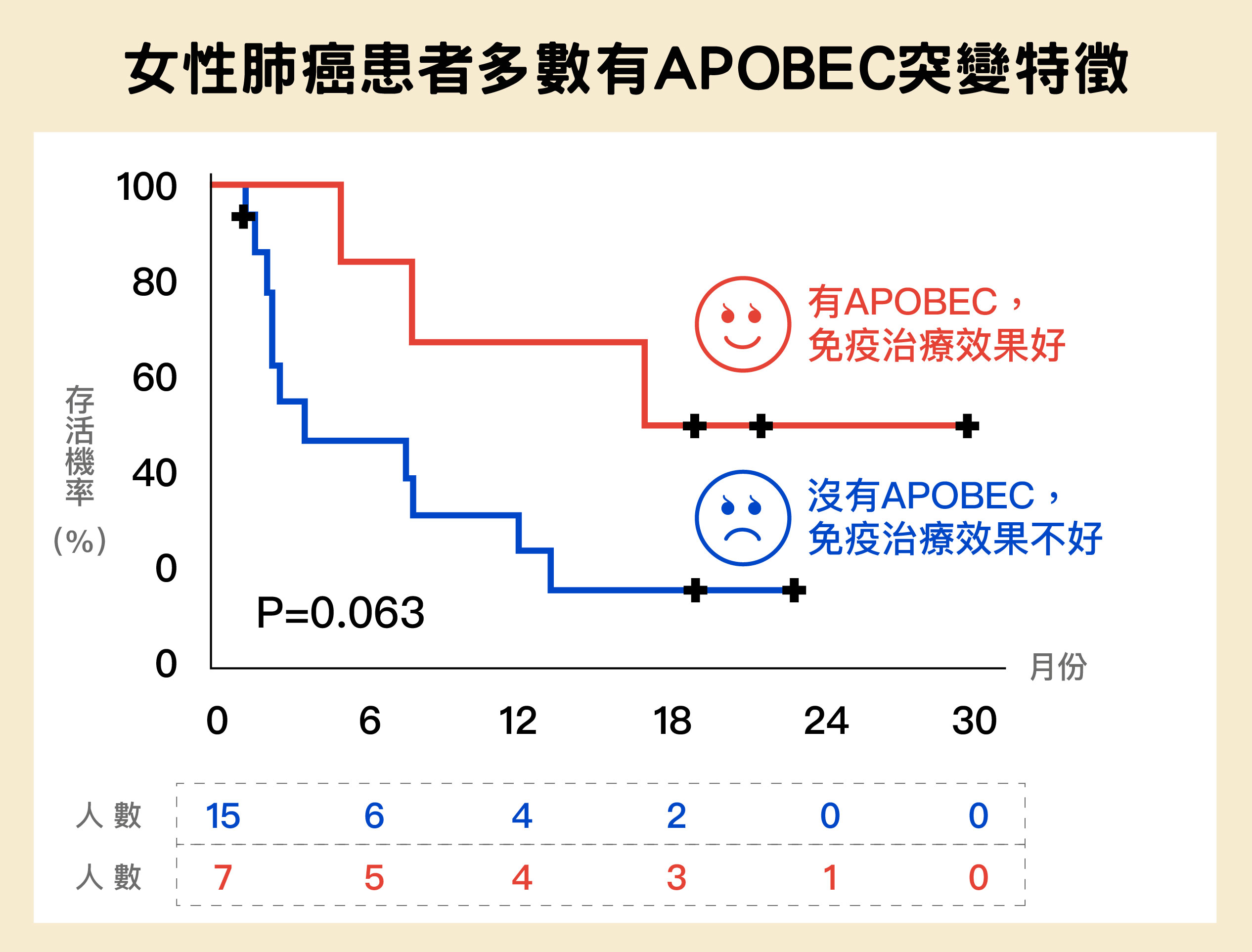 圖片來源:陳玉如